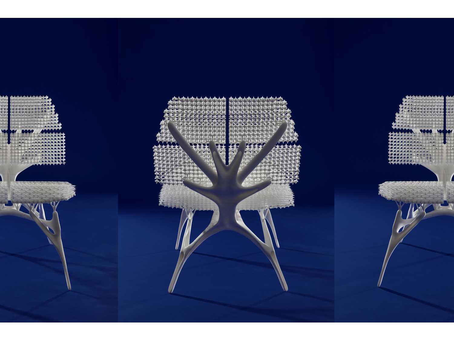 Chair Radiolaria. Fragments of nature | arkitectureonweb